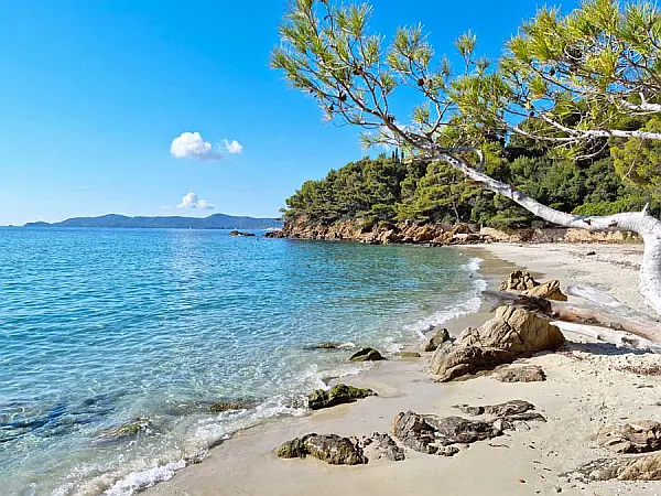 JOUR 3: LE LAVANDOU